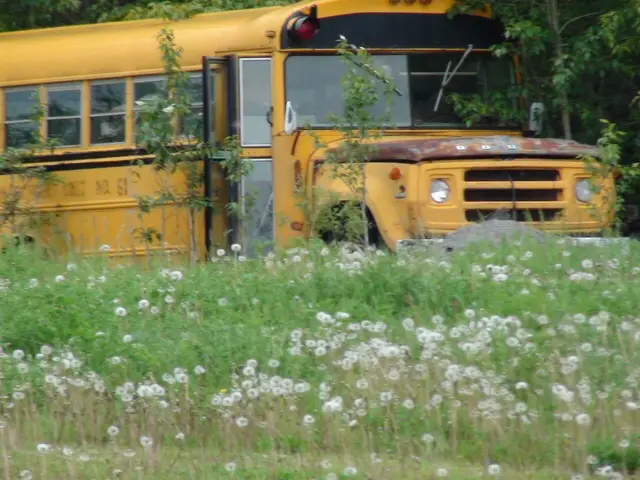 Retired school bus in a field